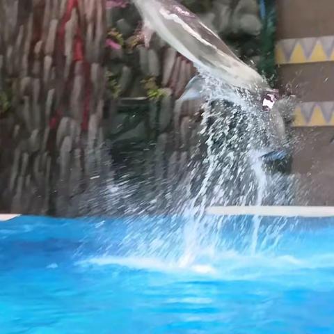 开启快乐之旅—珠海长隆