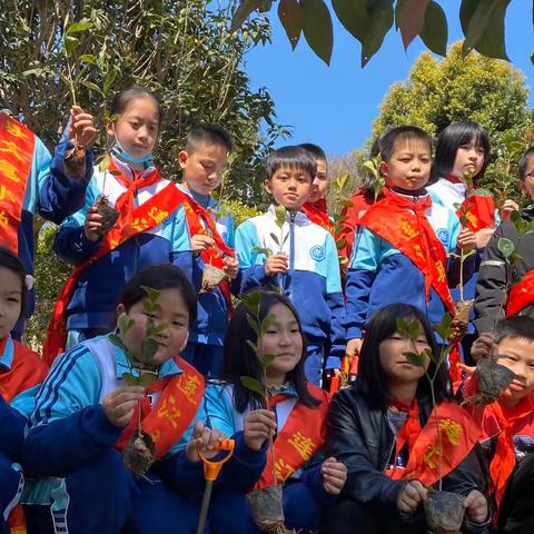 生命在于绿色，希望在于绿色——连江县文笔小学四年五班