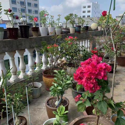 洁净新风尚—我们的节日