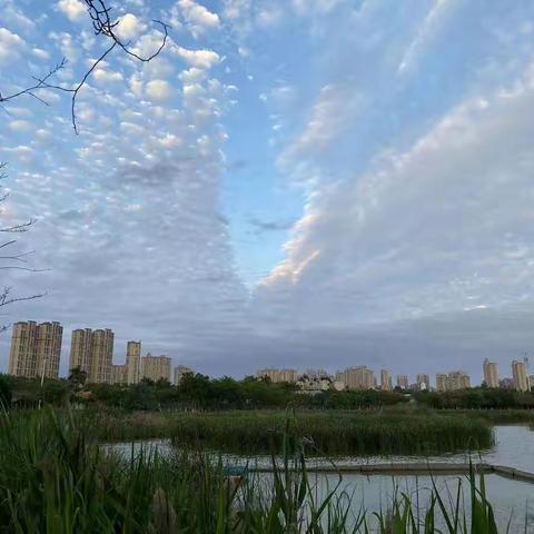 安平桥世界遗产入邮