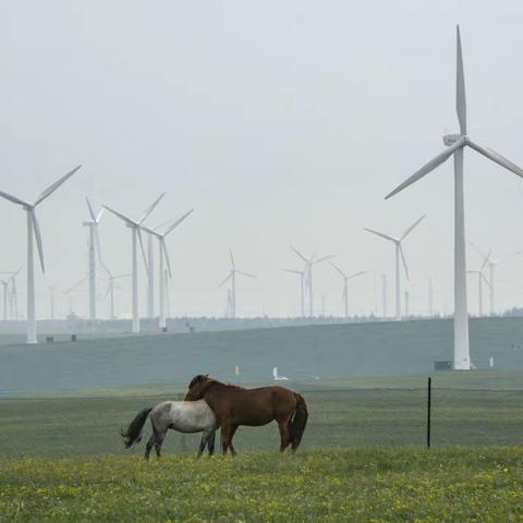 相聚——内蒙、银川游