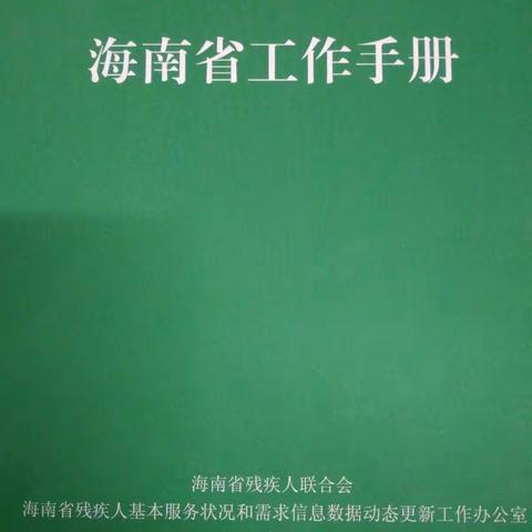 红旗镇2017年全国残疾人基本服务状况和需求信息数据动态更新工作