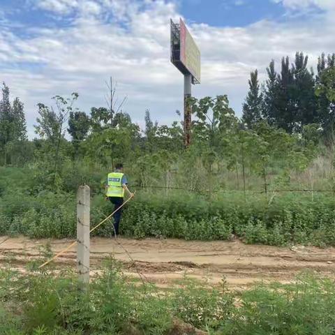 航空港分公司打响路域广告设施拆除第一枪