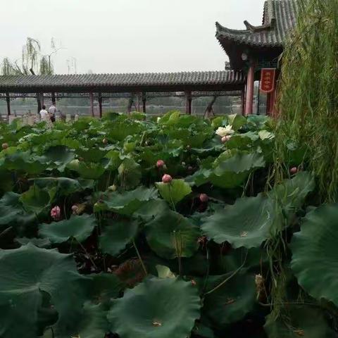花园学校一年级十二班徐海艺