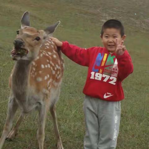 宝贝的幼儿园生活