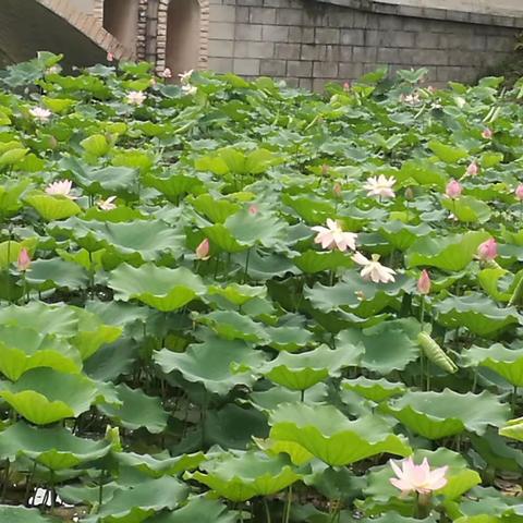 翰墨寄真情一一为毕业生赠送毕业留言