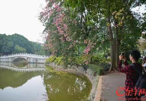 岁月留痕（三）：2017-2018(以时间先后为序）