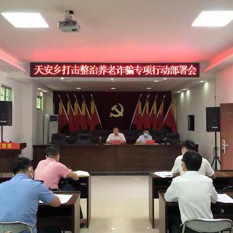 能力提升建设 | 天安乡组织召开打击整治养老诈骗工作部署会