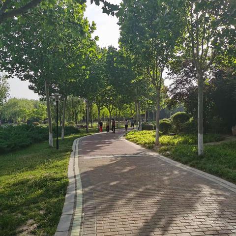 如意园的早晨
