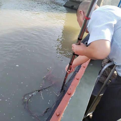 现场直击| 3005轮排除“水雷”，保障航行安全