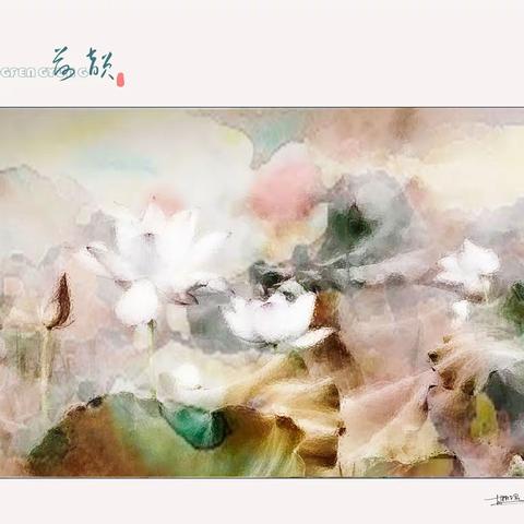 胡雅君的美篇