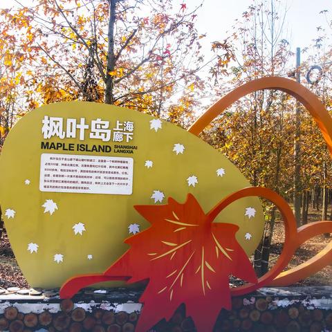 《女人花》美篇