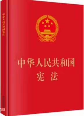 英才二年级学习宪法知识，争做文明少年