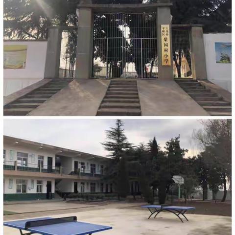 寒冬已过，静待花开—梨园小学停课不停学