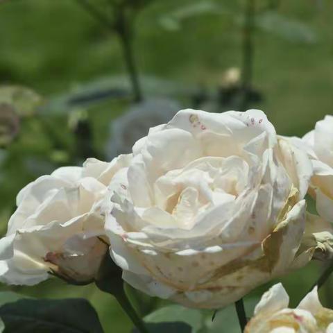 花溪谷游记