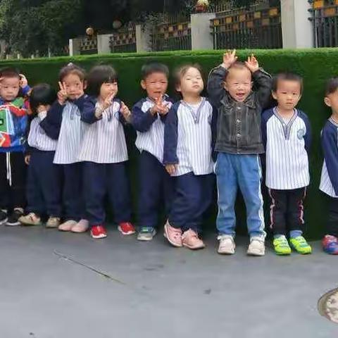 爱嘉贝幼稚园彩虹一班🌈第十二周活动剪影🌸