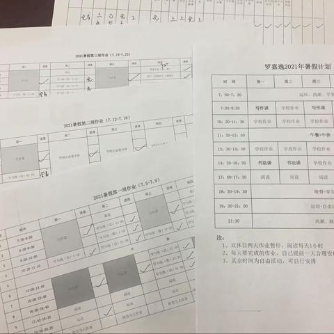2021我的暑假—正帆中队罗嘉逸