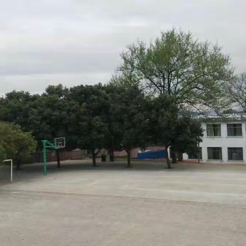 当时明月在
