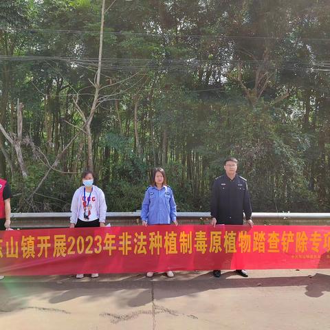 东山镇前进村委会开展2023年第一季度非法种植制毒原植物踏查铲除专项行动