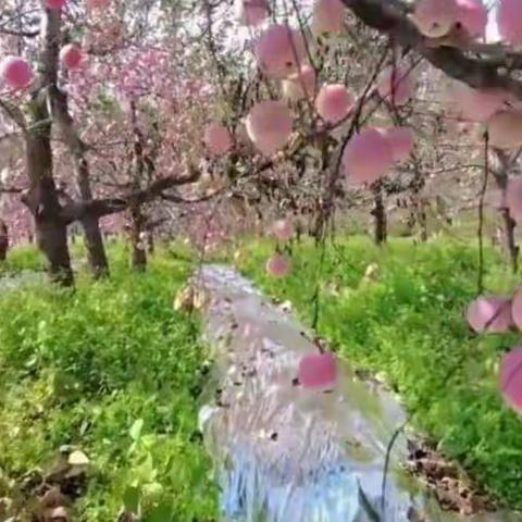 心之所向，梦之所往