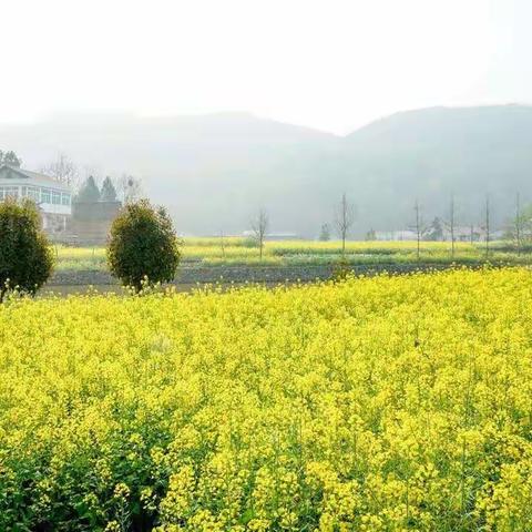 心若阳光，人生无处不灿烂