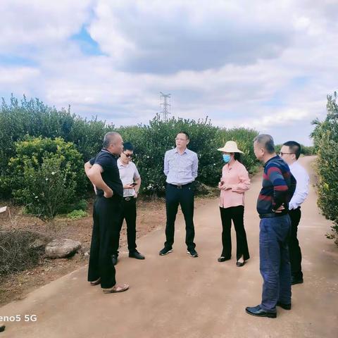 市林业局开展林业产业调研活动