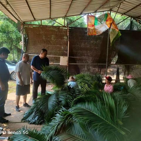 市林业局调研林业产业