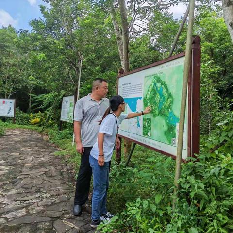 市林业局调研沉香产业