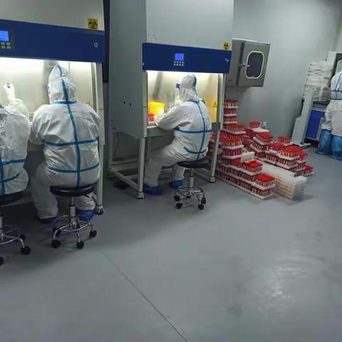 致敬行走在刀尖上的防疫尖兵—岐山县医院检验科