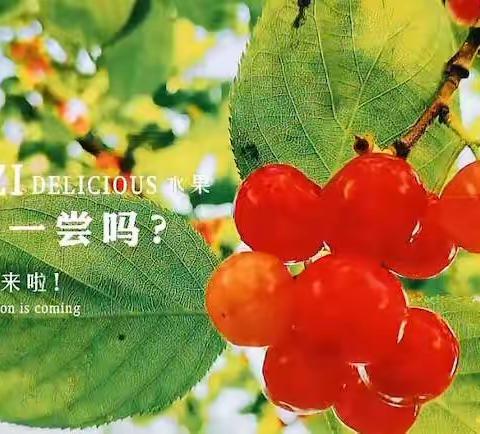 樱桃🍒熟了      沾益区第一幼儿园九龙分园——小（幼）班