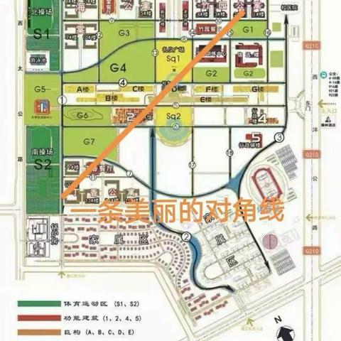 选择丁香的N个理由