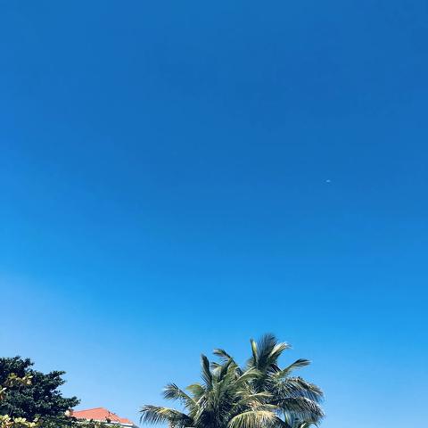 假如让我回到五岁，我会选择去虫洞上幼小衔接课！