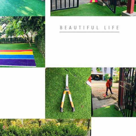 海口市美兰区乐而学教育培训中心登革热防控总结