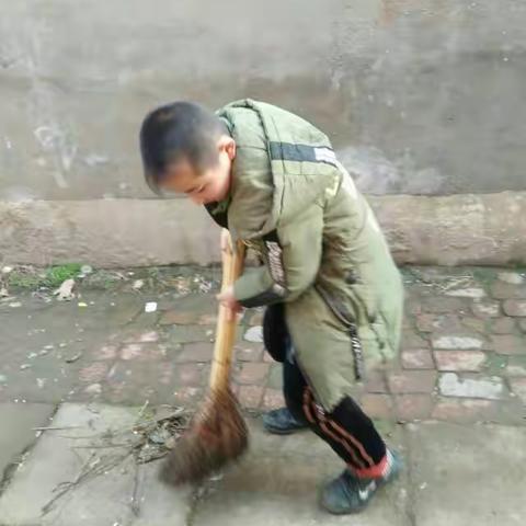 三三班实践活动