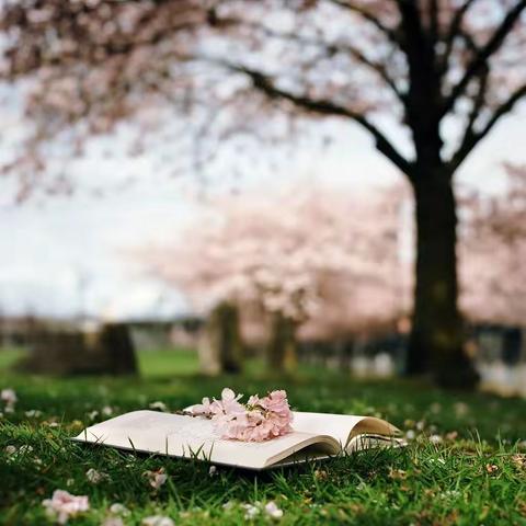 心有明月昭昭 千里赴迢遥——记褚河第三中心小学语文组教研活动