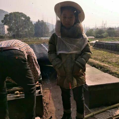 养蜂人和他的蜜蜂