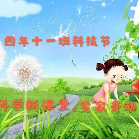 第六小学四年十一班科技节