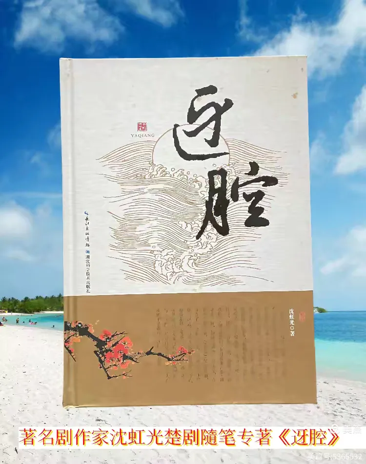 致敬！幕后英雄——  《楚剧的女儿·张巧珍传》