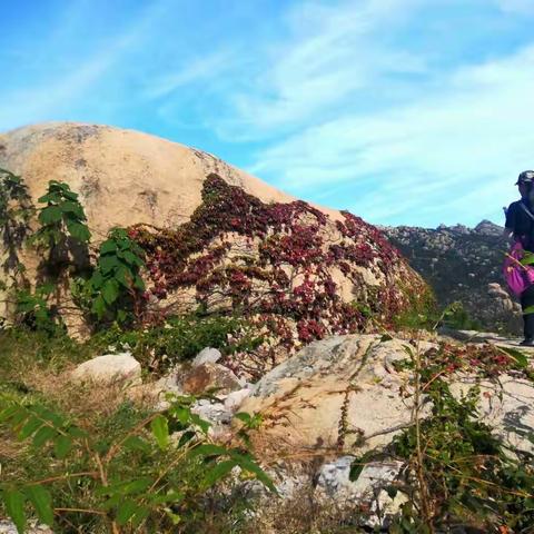 青岛崂山秋景  摄影  于立京