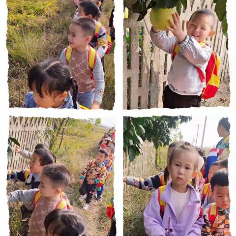 城西中心幼儿园“拥抱金秋”主题活动