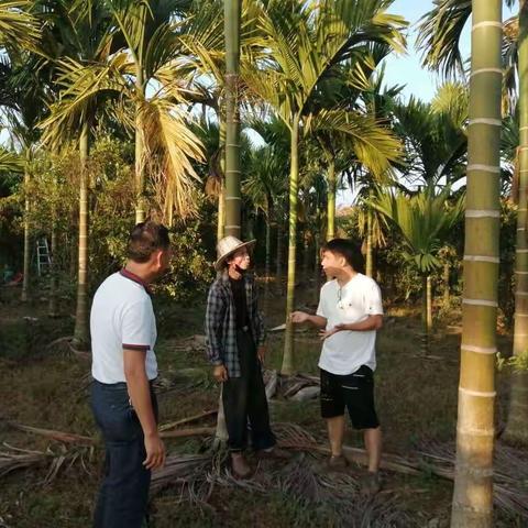 三门坡镇龙湾复垦项目工作日报（9月4日）