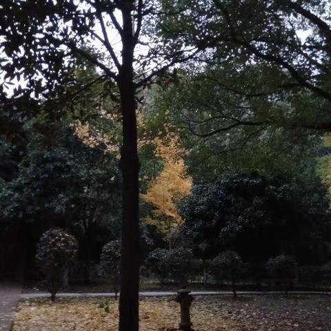 发现美，记录美，弘扬美