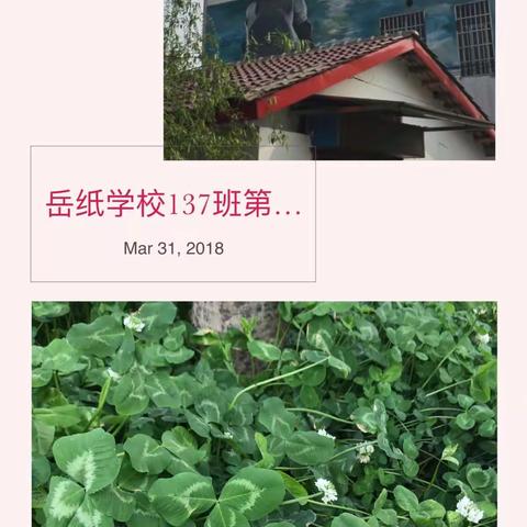 岳纸学校137班第三期读书分享会