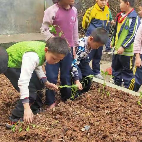 劳动着，快乐着，成长着