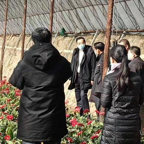 防疫生产两不误   省长下村解民忧
