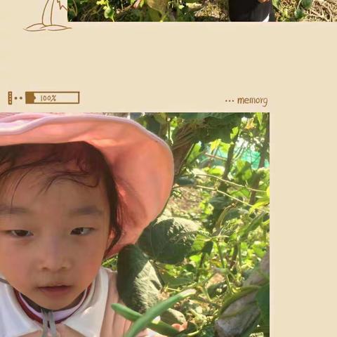 圆溜溜的豆——梅城幼儿园西湖中一班农家乐美食活动