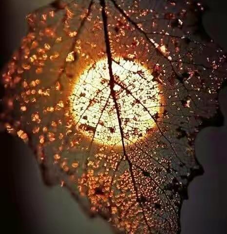 记南阳市中医院神经外科2017.03.29业务学习:补阳还五汤