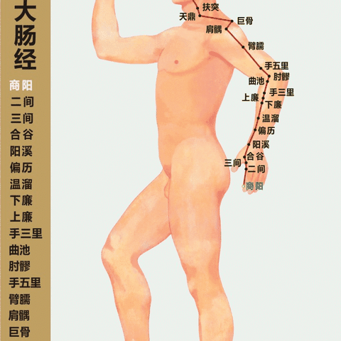 记2017.10.27南阳市中医院神经外科业务学习:手阳明大肠经