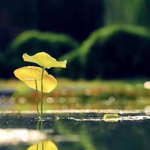 上门服务暖人心