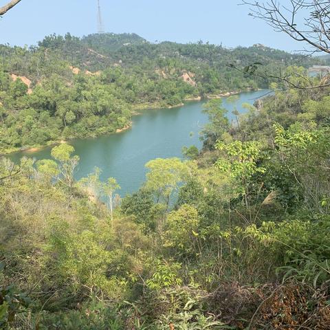 趣味丛林之山峦探险